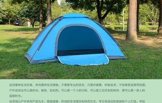 縱貫線露營裝備 戶外燒烤與遮篷帳篷的便攜之選